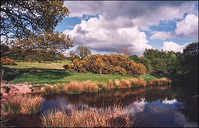 Alderley Edge