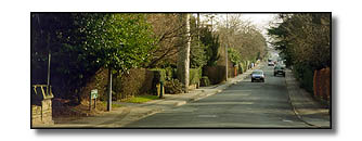 Hawthorne Lane